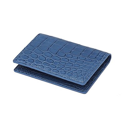 Pocket Organizer Saphire blue matt